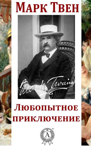 Cover of the book Любопытное приключение by Василий Жуковский
