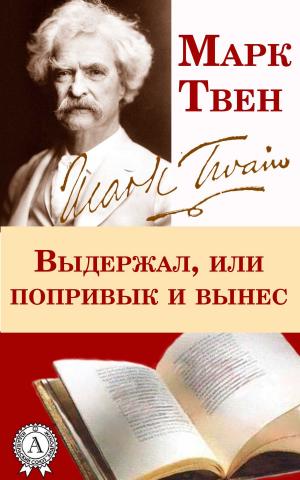 Cover of the book Выдержал, или Попривык и вынес by Лев Николаевич Толстой