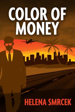 Cover of the book Color of Money by Angel Steel
