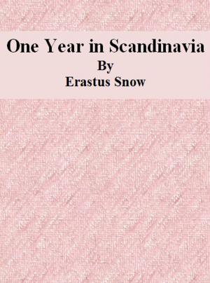 Cover of the book One Year in Scandinavia by Sidney Dickinson