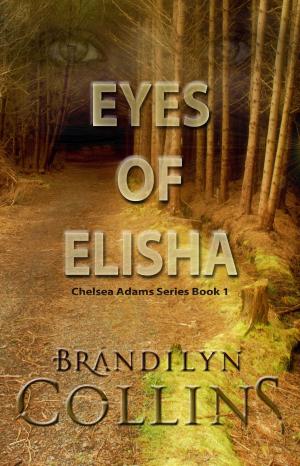 Book cover of Eyes Of Elisha