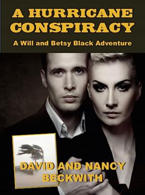 bigCover of the book A Hurricane Conspiracy by 