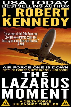 Book cover of The Lazarus Moment
