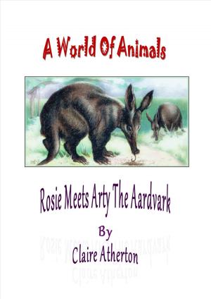 Book cover of Rosie Meets Arty The Aardvark