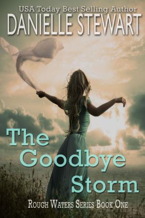 Book cover of The Goodbye Storm