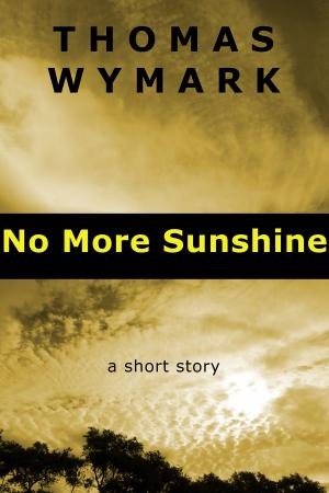 Book cover of No More Sunshine