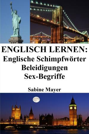 Book cover of Englisch lernen: englische Schimpfwörter ‒ Beleidigungen ‒ Sex-Begriffe