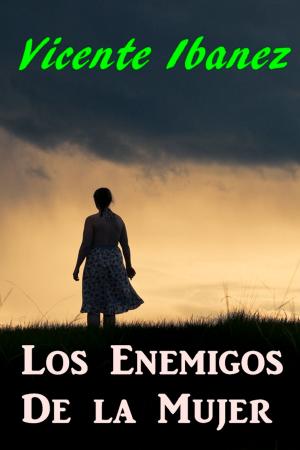 Book cover of Los Enemigos De la Mujer