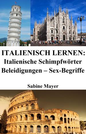 Book cover of Italienisch lernen: italienische Schimpfwörter ‒ Beleidigungen ‒ Sex-Begriffe