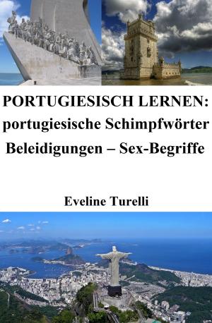 Book cover of Portugiesisch lernen: portugiesische Schimpfwörter ‒ Beleidigungen ‒ Sex-Begriffe