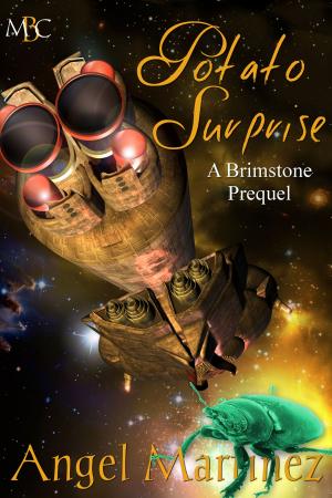 Cover of the book Potato Surprise: A Brimstone Prequel by Mike Twohy