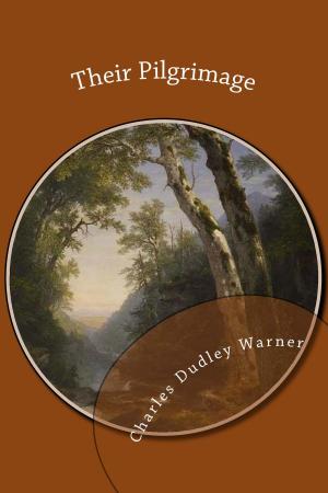 Cover of the book Their Pilgrimage by Rex Beach