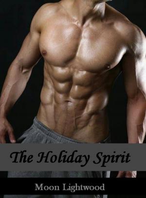 Cover of the book The Holiday Spirit by Elizabeth Sinclair