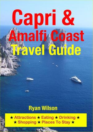 Cover of the book Capri & Amalfi Coast Travel Guide by Olivia Phillips