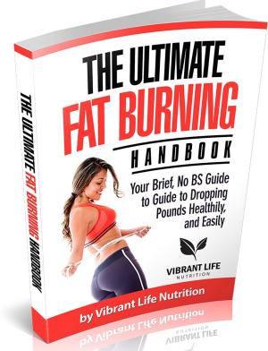 Cover of the book The Ultimate Fat Burning Handbook Your Brief, No BS Guide to Guide to Dropping Pounds Healthily, and Easily by Martin J. Hibbs