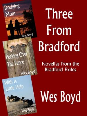 Cover of the book Three From Bradford by Clive Reznor
