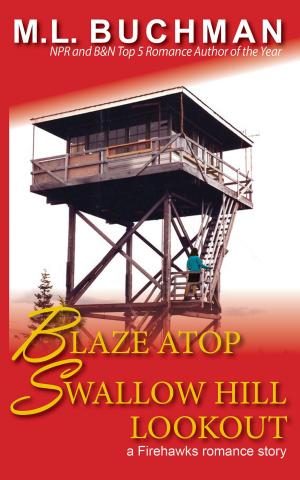 Cover of the book Blaze Atop Swallow Hill Lookout by Nickie Nalley Seidler