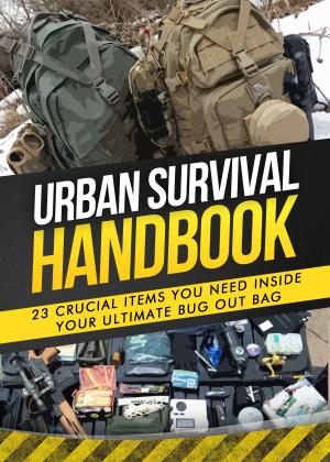 Cover of the book Bug Out Bag by Hubert A Allen