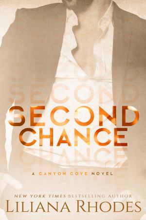 Cover of the book Second Chance by Jinni James