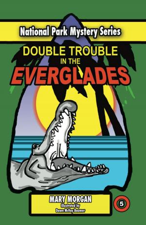 Cover of the book Double Trouble in the Everglades by Hannah Hoffmeister