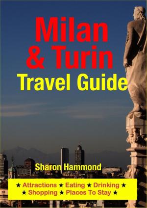 Book cover of Milan & Turin Travel Guide