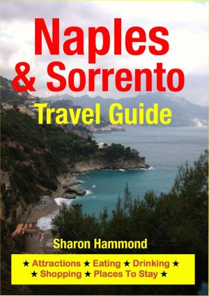 Cover of Naples & Sorrento Travel Guide