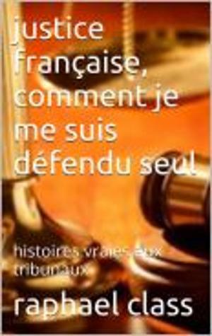 Book cover of JUSTICE FRANCAISE : COMMENT, je me suis défendu seul