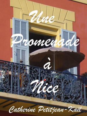 Book cover of Nice