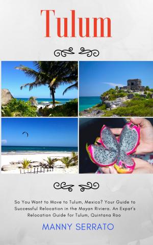 Cover of So You Want To Move To Tulum, Mexico? Your Guide To Successful Relocation In The Mayan Riviera