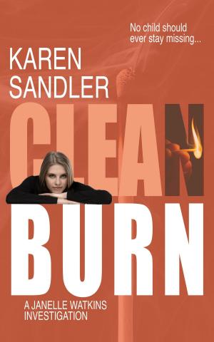 Cover of the book Clean Burn by James A. Anderson