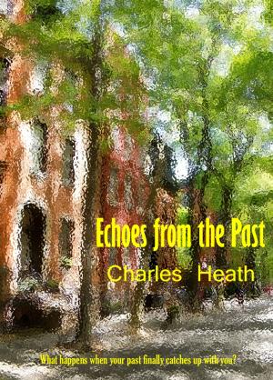 Book cover of Echoes From The Past