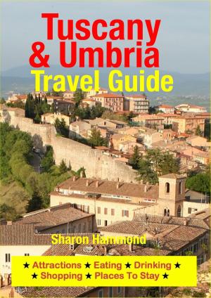 Cover of the book Tuscany & Umbria Travel Guide by M.B. Moshe