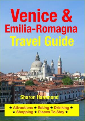 Cover of the book Venice & Emilia-Romagna Travel Guide by Lisa Brown