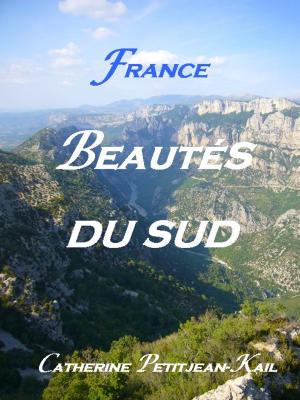 Cover of the book SUD DE LA FRANCE by Catherine Petitjean-Kail
