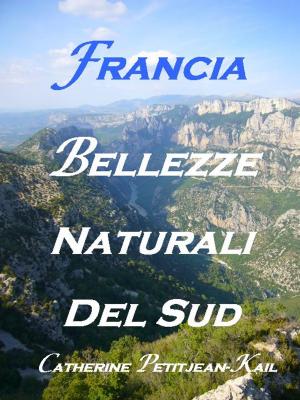 Cover of the book SUD DELLA FRANCIA by Catherine P. Kail