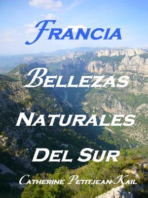 Cover of the book SUR DE LA FRANCIA by Catherine Petitjean-Kail