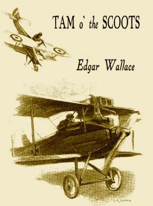 Book cover of Tam O' The Scoots