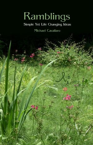 Cover of the book Ramblings by Madelene Eayrs, Michael Kleu