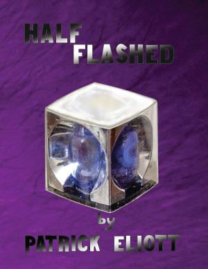 Cover of the book Half Flashed by T.J Dipple