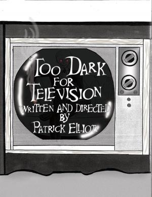 Cover of Too Dark for Television