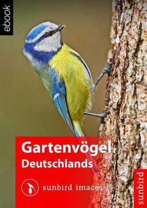 bigCover of the book Gartenvögel Deutschlands - Vögel Erkennen, Bestimmen und Schützen by 