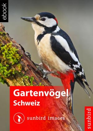 Cover of Gartenvögel der Schweiz - Erkennen, Bestimmen und Schützen