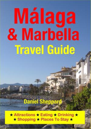 Cover of the book Malaga & Marbella Travel Guide by Nicole Wright