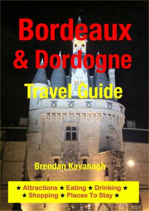 Book cover of Bordeaux & Dordogne Travel Guide - Attractions, Eating, Drinking, Shopping & Places To Stay