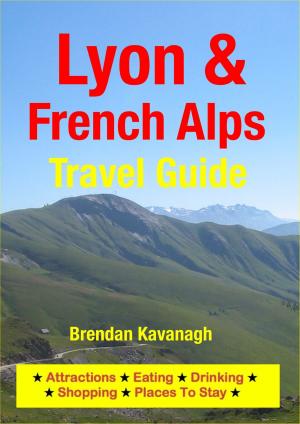 Book cover of Lyon & French Alps Travel Guide - Attractions, Eating, Drinking, Shopping & Places To Stay