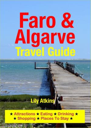 Cover of the book Faro & The Algarve Travel Guide by Marina K. Villatoro