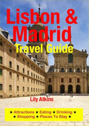 Cover of Lisbon & Madrid Travel Guide