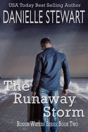 Book cover of The Runaway Storm