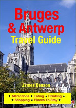 Cover of the book Bruges & Antwerp Travel Guide by Pamela Harris