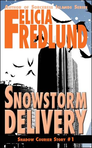 bigCover of the book Snowstorm Delivery by 